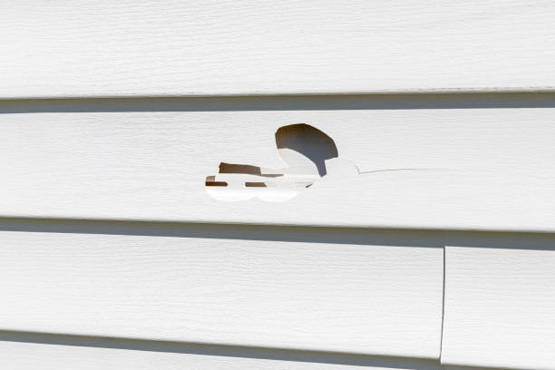 Best Weatherproofing and Sealing  in Alturas, CA