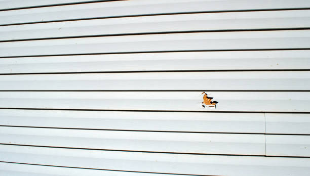 Best Insulated Siding Installation  in Alturas, CA