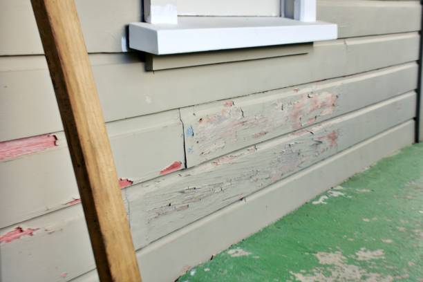 Best Residential Vinyl Siding Installation  in Alturas, CA